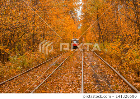 Autumn forest through which the tram travels, Kyiv and rails Autumn forest through which the tram travels, Kyiv and rails 141326590