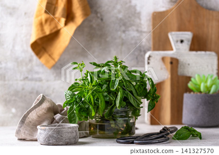 Fresh basil on kitchen. Home greens garden Fresh basil on kitchen. Home greens garden 141327570