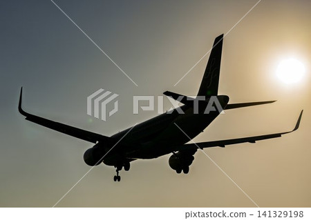 黃昏時分的仙台機場，一架飛機正在降落，從宮城縣名取市拍攝的第 27 張照片中可以看到。 141329198