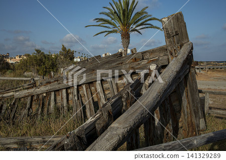 Ruins of an old wooden structure or shipwreck stand near a palm tree in the coastal area of Santa Pola. Blue sky and greenery surround the site. Ruins of an old wooden structure or shipwreck stand near a palm tree in the coastal area of Santa Pola. Blue sky and greenery surround the site. 141329289