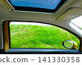 Passenger side window, green, and sunroof 141330358