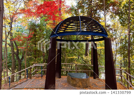 港北新市鎮和都筑中央公園的秋葉 港北新市鎮和都筑中央公園的秋葉 141330799