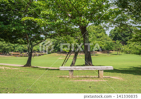 奈良公園春日野花園 141330835