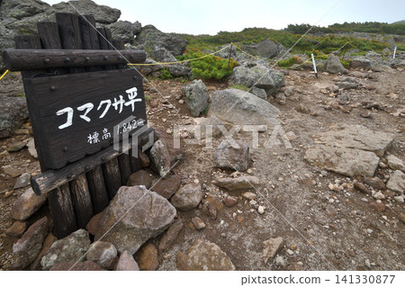 大雪山赤岳登山道上的駒草平原 大雪山赤岳登山道上的駒草平原 141330877