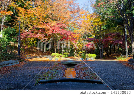Picture frame autumn leaves of Yokohama, Kohoku new town Picture frame autumn leaves of Yokohama, Kohoku new town 141330953