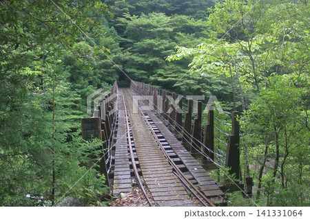 Yakushima mountain path Yakushima mountain path 141331064