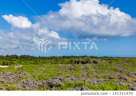 Toriike Pond and Walking Path, Miyako Island, Okinawa Prefecture Toriike Pond and Walking Path, Miyako Island, Okinawa Prefecture 141331470