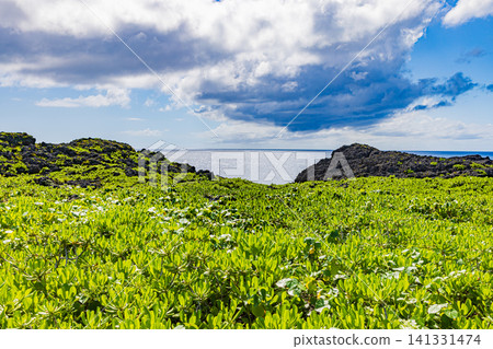Toriike Pond and Walking Path, Miyako Island, Okinawa Prefecture Toriike Pond and Walking Path, Miyako Island, Okinawa Prefecture 141331474