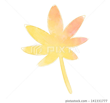 Yellow maple leaves, watercolor style Yellow maple leaves, watercolor style 141331777