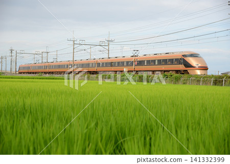 The Spacia limited express train running on the JR Utsunomiya Line 141332399