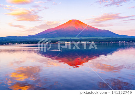 【山梨縣】夏季傳統:富士山聳立於山名湖之上,湖中天鵝悠然游弋。 【山梨縣】夏季傳統:富士山聳立於山名湖之上,湖中天鵝悠然游弋。 141332749