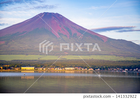 [Yamanashi Prefecture] Lake Yamanaka - Swans on the lake and Mount Fuji in red 141332922
