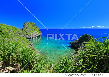 [Okinawa Prefecture] Cape Maeda and the East China Sea under clear skies 141332998