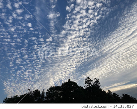 黃昏前,神祕的捲積雲籠罩著天空。 黃昏前,神祕的捲積雲籠罩著天空。 141333027