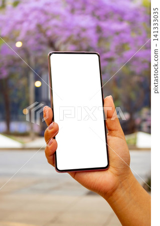 Hand Holding Smartphone with Blank White Screen and Jacaranda Flowers Background Hand Holding Smartphone with Blank White Screen and Jacaranda Flowers Background 141333035