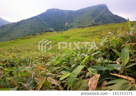 劍梨峠的竹林草甸和羽吹岳的山脊線景色 劍梨峠的竹林草甸和羽吹岳的山脊線景色 141333171