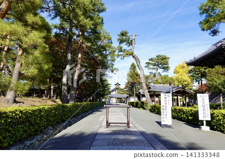 A view of the Kuri (monk's quarters) and Koshakuin buildings across the approach to Shokokuji Temple, Kamigyo Ward, Kyoto City. A view of the Kuri (monk's quarters) and Koshakuin buildings across the approach to Shokokuji Temple, Kamigyo Ward, Kyoto City. 141333348