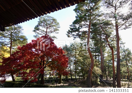 從京都市上京區聖國寺正殿眺望色彩繽紛的秋葉。 141333351