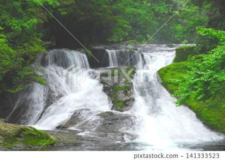 Fresh greenery in Kikuchi Valley (Yonjusanman Falls, Kikuchi City) Fresh greenery in Kikuchi Valley (Yonjusanman Falls, Kikuchi City) 141333523