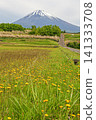 Mount Fuji  141333708