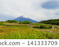 Mount Fuji  141333709