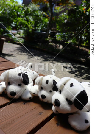 Cute dog plush toys lined up on the wooden deck Cute dog plush toys lined up on the wooden deck 141333743