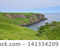 Scenery of Eastern Hokkaido - An Unnamed Cape - 141334209