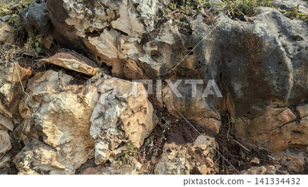 A horizontal wide angle perspective captures a rugged cliff side composed of ancient limestone rock formations, rough stone surfaces, weathered details. Small wild green plants grow within the A horizontal wide angle perspective captures a rugged cliff side composed of ancient limestone rock formations, rough stone surfaces, weathered details. Small wild green plants grow within the 141334432