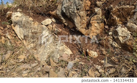 A horizontal wide angle perspective captures a rugged cliff side composed of ancient limestone rock formations, rough stone surfaces, weathered details. Small wild green plants grow within the A horizontal wide angle perspective captures a rugged cliff side composed of ancient limestone rock formations, rough stone surfaces, weathered details. Small wild green plants grow within the 141334433