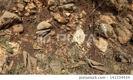 A horizontal wide angle perspective captures a rugged cliff side composed of ancient limestone rock formations, rough stone surfaces, weathered details. Small wild green plants grow within the 141334434