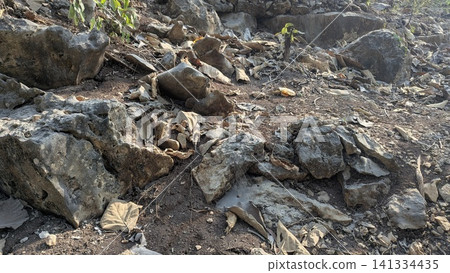 A horizontal wide angle perspective captures a rugged hillside composed of ancient limestone rock formations, rough stone surfaces, weathered details. Scattered dry leaves cover the brown soil ground A horizontal wide angle perspective captures a rugged hillside composed of ancient limestone rock formations, rough stone surfaces, weathered details. Scattered dry leaves cover the brown soil ground 141334435