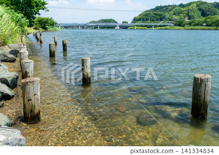 陽光明媚的夏日，靜岡縣濱松市宮古田川河口附近的水面。 141334834