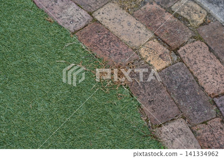 Weeds withered by herbicides 141334962
