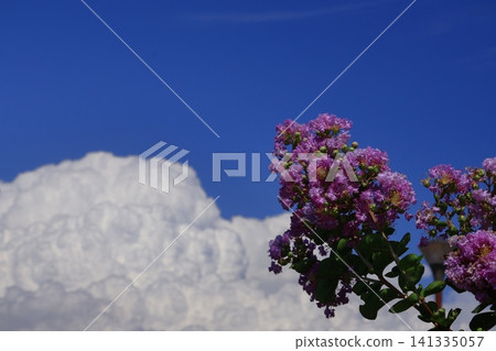 盛夏閃耀在蔚藍的天空 141335057