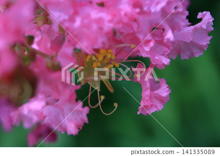 盛夏閃耀在蔚藍的天空 盛夏閃耀在蔚藍的天空 141335089