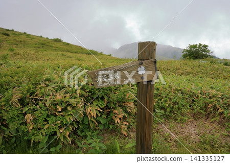 A signpost to Manza Onsen on the Shiga-Kusatsu Road and the natural beauty of the plateau. 141335127
