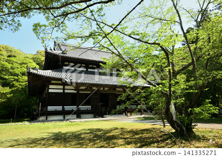 Negoro-ji Temple (Daidenpo-do Hall) [Iwade City, Wakayama Prefecture] 141335271