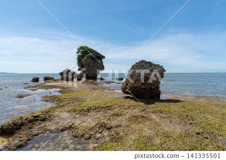 Several rocks with vegetation growing on top stand on a shallow coastline where the horizon is visible. Several rocks with vegetation growing on top stand on a shallow coastline where the horizon is visible. 141335501