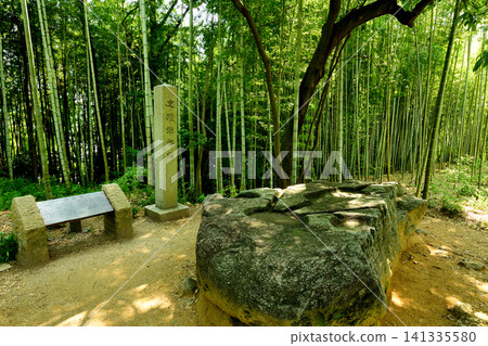 坂船石[奈良縣飛鳥村] 141335580