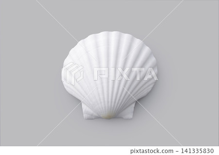White scallop shells placed against a gray background 141335830