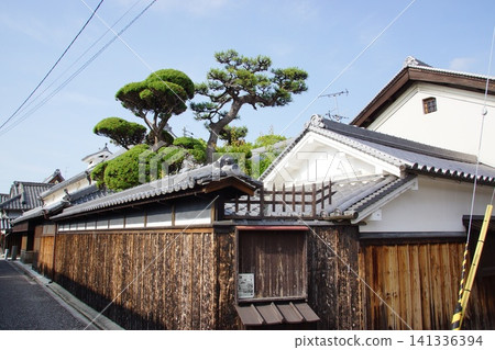 富田林寺內町的城市景觀 富田林寺內町的城市景觀 141336394