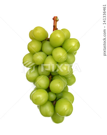 Shine Muscat Shine Muscat 141336461