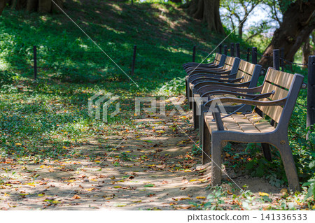 盛夏時節,公苑公園鬱鬱蔥蔥的自然風光 盛夏時節,公苑公園鬱鬱蔥蔥的自然風光 141336533