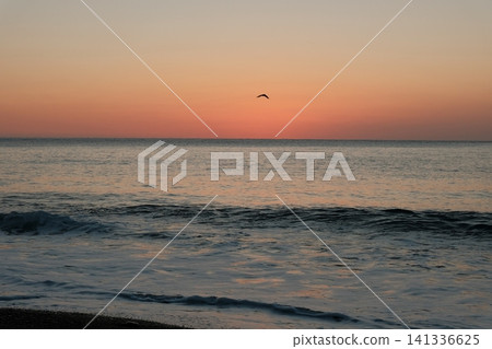日出前的大海,沐浴在晨曦之中,一隻鳥兒的輪廓在海浪上飛翔。 日出前的大海,沐浴在晨曦之中,一隻鳥兒的輪廓在海浪上飛翔。 141336625