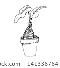 黑芋（Alocasia macrorrhizos (black)） 141336764