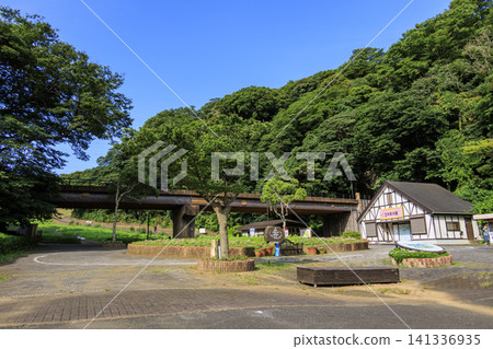 Kurihama Flower Park Summer Kurihama Flower Park Summer 141336935