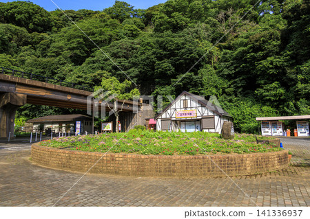 Kurihama Flower Park Summer Kurihama Flower Park Summer 141336937
