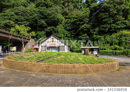 Kurihama Flower Park Summer Kurihama Flower Park Summer 141336938