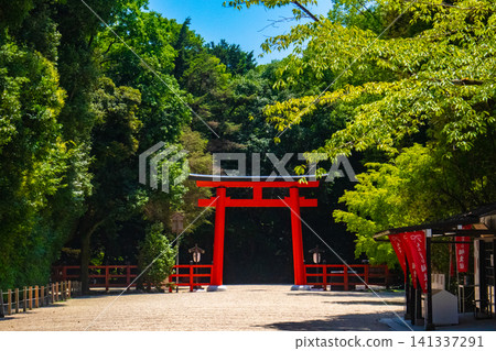 下鴨神社東西殿所供奉的神明賜予人們免受厄運、人際關係美滿、順利生產和養育子女、長壽和美麗。 下鴨神社東西殿所供奉的神明賜予人們免受厄運、人際關係美滿、順利生產和養育子女、長壽和美麗。 141337291