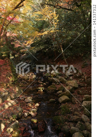 景觀與秋葉和河流 景觀與秋葉和河流 141337312